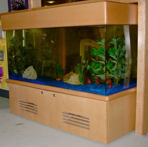 Pet Supply Store «Aquarius Aquariums», reviews and photos, 214 Riverside Dr #511, New York, NY 10025, USA