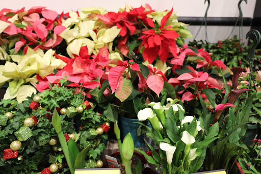 Grocery Store «Food Lion», reviews and photos, 705 Lisbon Center Dr, Woodbine, MD 21797, USA