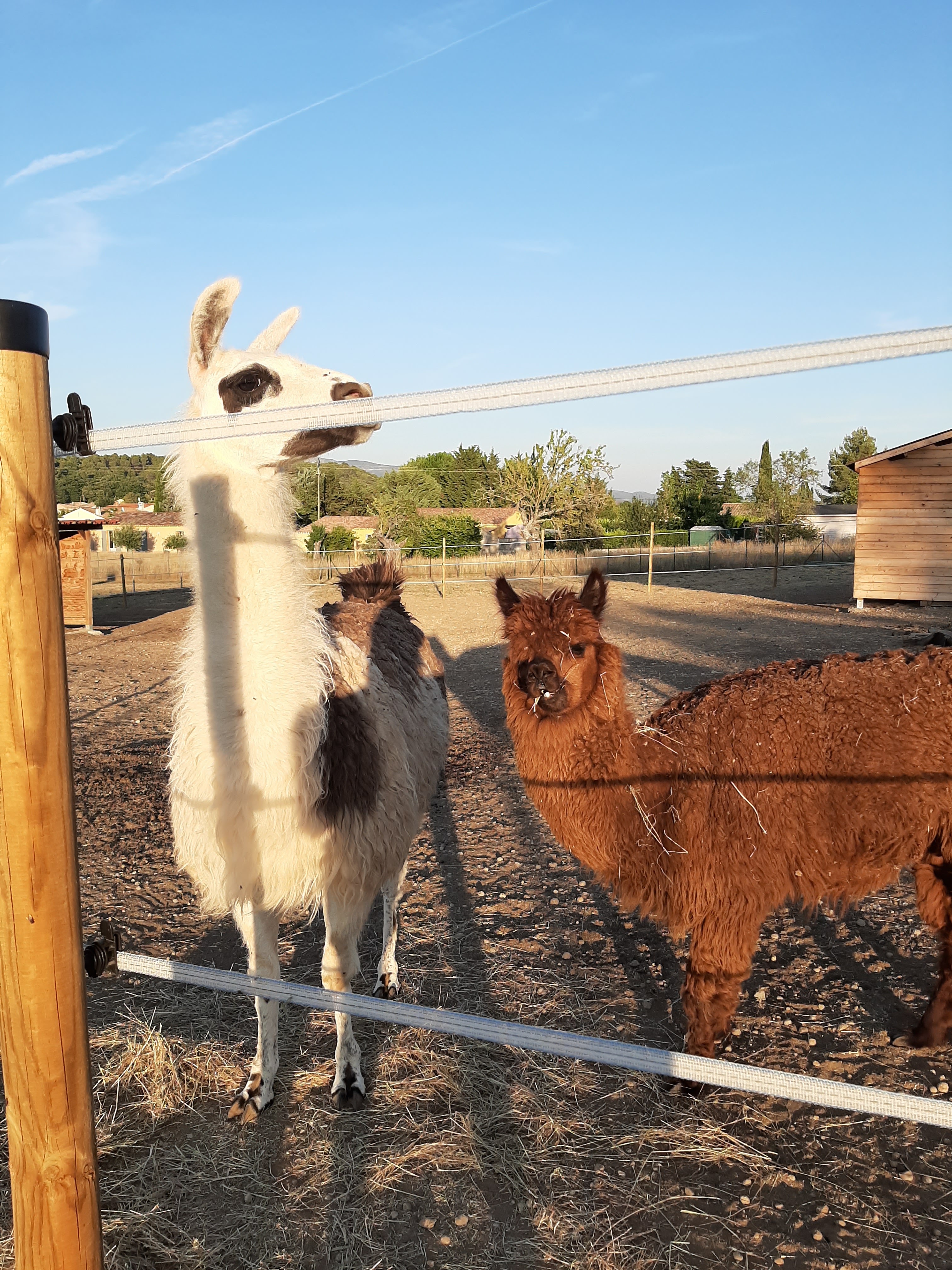 Photo n° 4 de l'avis de Jessica.e fait le 18/08/2019 à 21:07
