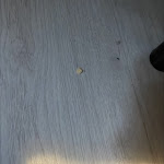 Photo n°2 de l'avis de marco.i fait le 16/10/2023 à 17:54 sur le  Albergo Ristorante Roma à Valdagno