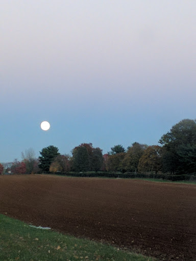 Golf Course «Hominy Hill Golf Course», reviews and photos, 92 Mercer Rd, Colts Neck, NJ 07722, USA