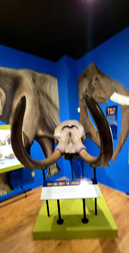 Museum «Museum», reviews and photos, 2142 Southern Dr, Statesboro, GA 30458, USA