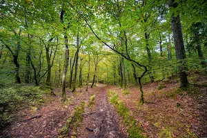 Guddehjälm Nature reserve image