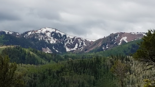 Tourist Attraction «Utah Olympic Park», reviews and photos, 3419 Olympic Pkwy, Park City, UT 84098, USA