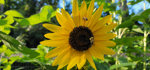 Park «Little Nancy Creek Park», reviews and photos, 4012 Peachtree Dunwoody Rd, Atlanta, GA 30342, USA