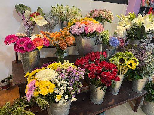 Florería María