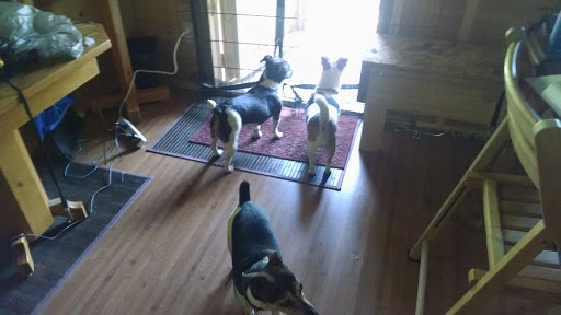 Campground «Campers Paradise Inc», reviews and photos, 433 Simpson Rd, Westfield, ME 04787, USA