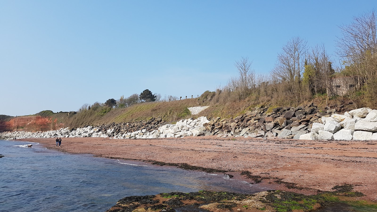 Photo of Hollicombe beach with very clean level of cleanliness