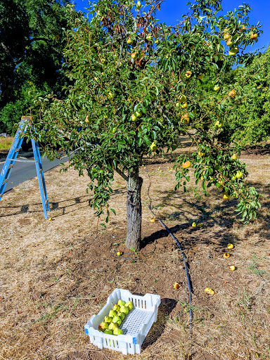 Farm «Oak Hill Farm», reviews and photos, 15101 CA-12, Glen Ellen, CA 95442, USA