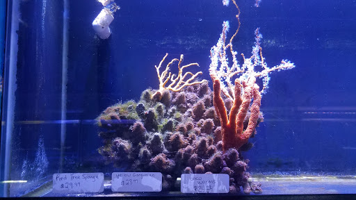 Tropical Fish Store «Best Fish», reviews and photos, 1335 N Doctor M.L.K. Dr, Milwaukee, WI 53212, USA