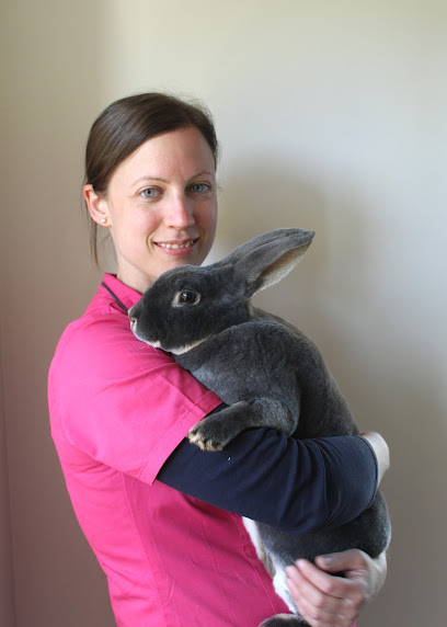 Jessica Nissen Vétérinaire petits animaux à domicile