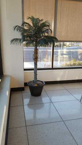 Les Schwab Tire Center image