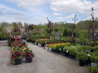 New Roots Garden Centre