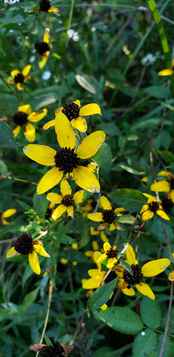 Nature Preserve «Elizabethtown Nature Park», reviews and photos, 1900 Ring Rd, Elizabethtown, KY 42701, USA