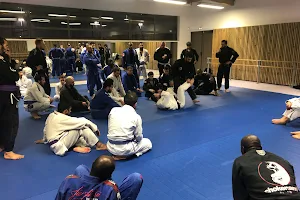 Shinko Jiu-Jitsu image