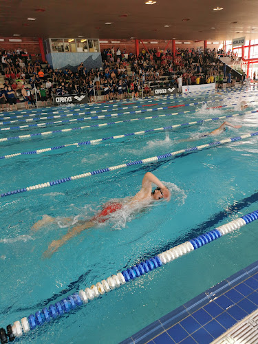 Klub plaveckých sportů Ostrava, z.s.