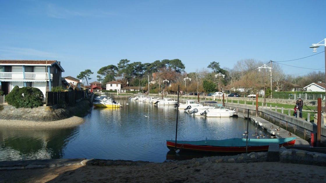 Location de vacances Tamarina - Lanton - Bassin d'Arcachon à Lanton (Gironde 33)