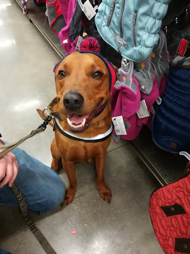 Pet Supply Store «Petco Animal Supplies», reviews and photos, 635 Cibolo Valley Drive #149, Cibolo, TX 78108, USA