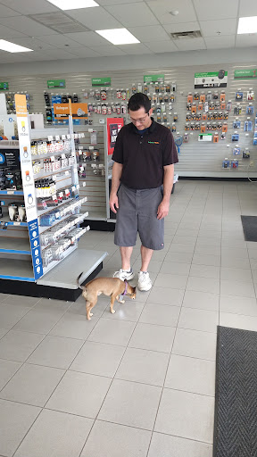 Car Battery Store «Batteries Plus Bulbs», reviews and photos, 12845 W Bell Rd, Surprise, AZ 85378, USA