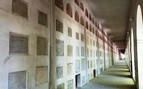 Catacombs on the Old Powazki Cemetery image