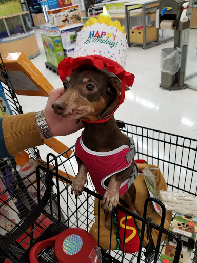 Pet Supply Store «Petco Animal Supplies», reviews and photos, 27111 167th Pl SE #113, Covington, WA 98042, USA