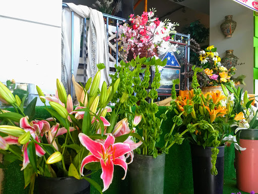 Florist «Stein Your Florist Co.», reviews and photos, 7059 Frankford Ave, Philadelphia, PA 19135, USA