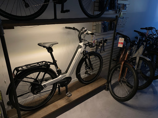 Cit-E Cycles Electric Bikes - North Vancouver