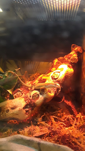 Pet Supply Store «PetSmart», reviews and photos, 24005 U.S. 27, Lake Wales, FL 33859, USA