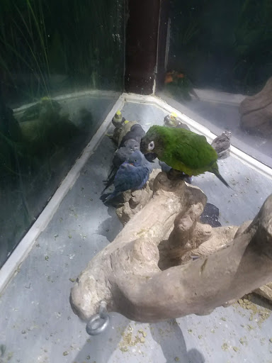 Pet Store «Most Valuable Pets», reviews and photos, 921 Beaumont Centre Pkwy #100, Lexington, KY 40513, USA