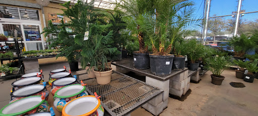 Electronics Store «Best Buy», reviews and photos, 13711 W Bell Rd, Surprise, AZ 85374, USA