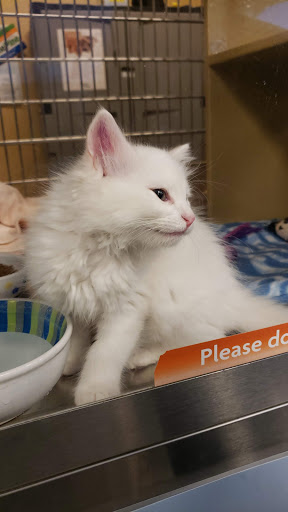 Pet Supply Store «PetSmart», reviews and photos, 2997 Max Ave, Bozeman, MT 59718, USA