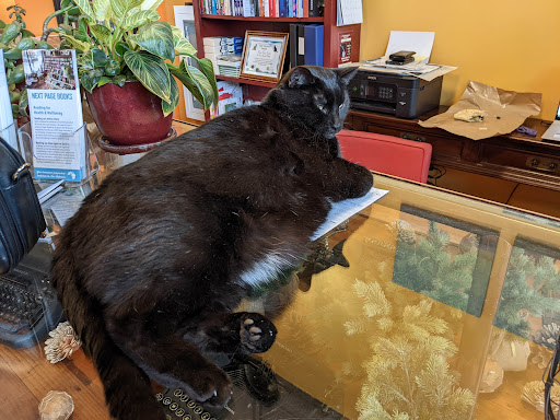 Book Store «Next Page Books», reviews and photos, 1105 3rd St SE, Cedar Rapids, IA 52401, USA