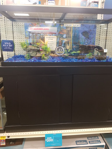 Pet Supply Store «PetSmart», reviews and photos, 3093 E Main St, Russellville, AR 72802, USA