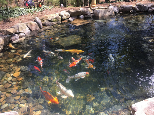 Fish Farm «Kloubec Koi», reviews and photos, 1375 Baxter Ave NW, Amana, IA 52203, USA