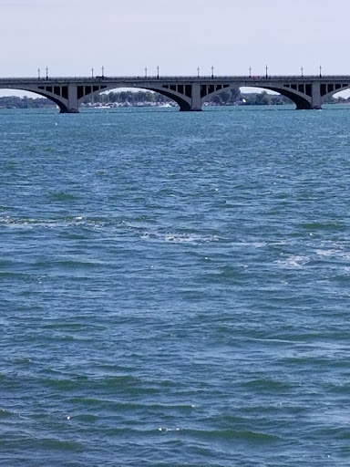 Park «Mt. Elliott Park», reviews and photos, 110 Mt Elliott St, Detroit, MI 48207, USA