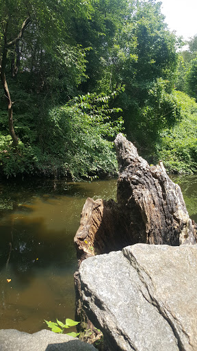 Tacony Creek Park