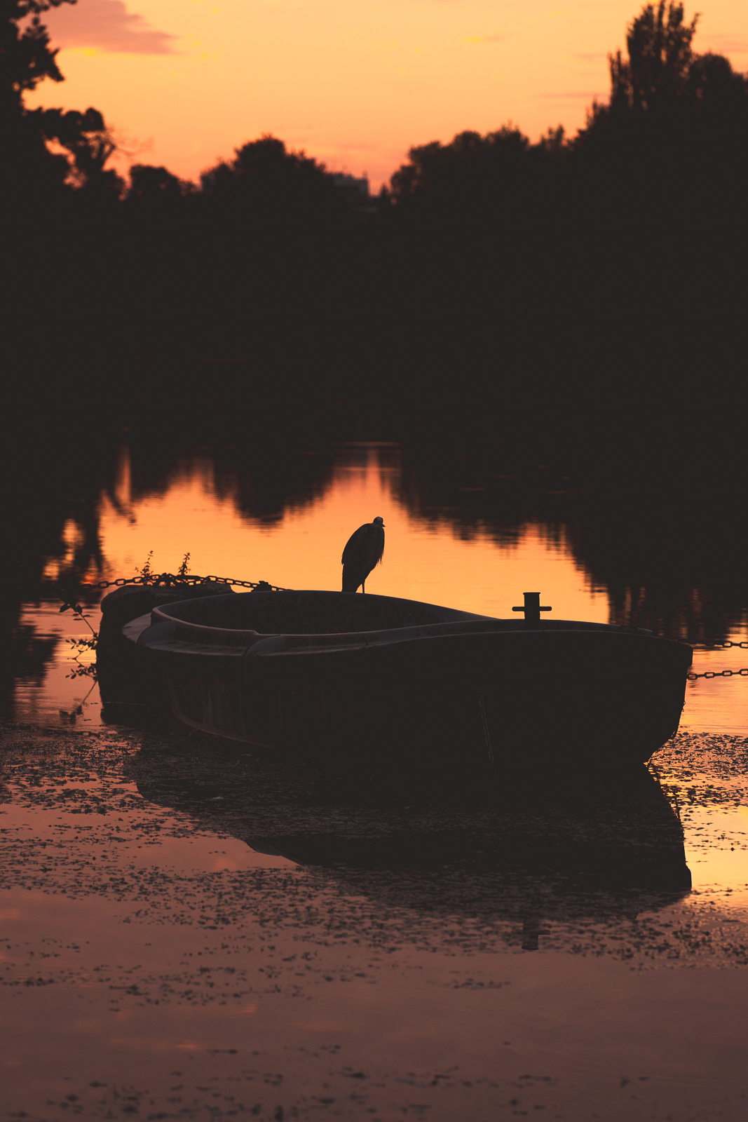 Photo n° 5 de l'avis de Thibault.s fait le 23/08/2023 à 14:02