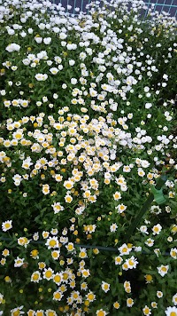 オクムラ自動車