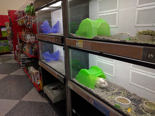 Pet Supply Store «Petco Animal Supplies», reviews and photos, 3577 S Rainbow Blvd, Las Vegas, NV 89103, USA