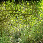 Photo n° 1 de l'avis de Maeva.. fait le 11/08/2019 à 08:08 pour Source du Mirail à La Motte-d'Aigues