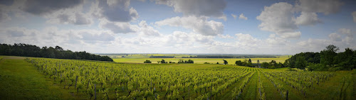 Pascal Avril - Domaine de Touraine - vins bio de Chinon et Touraine à Ligré