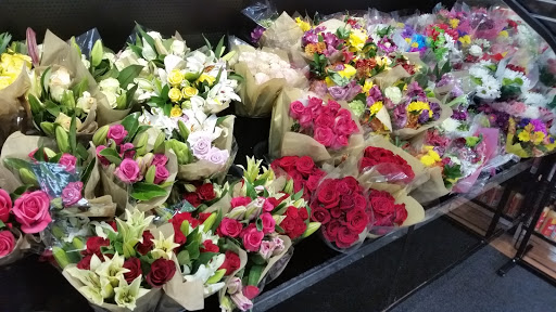 Supermarket «Winn-Dixie», reviews and photos, 9535 E Fowler Ave, Thonotosassa, FL 33592, USA