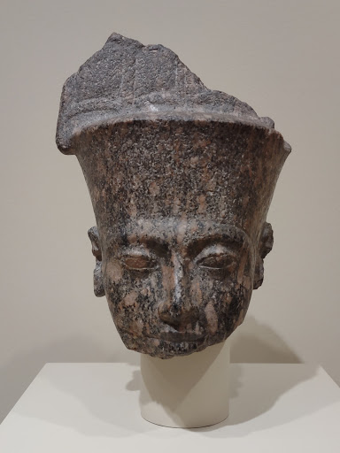 Art Gallery «SAM Gallery», reviews and photos, 1300 1st Ave, Seattle, WA 98101, USA