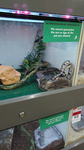 Pet Supply Store «Pet Supplies Plus», reviews and photos, 2801 Wade Hampton Blvd #100, Taylors, SC 29687, USA