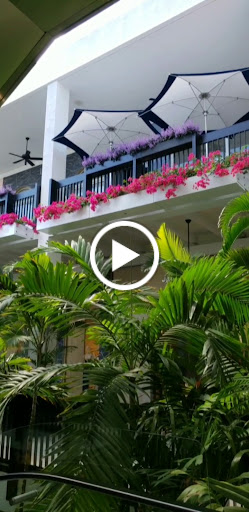 Boutique «Salvatore Ferragamo», reviews and photos, 9700 Collins Ave, Bal Harbour, FL 33154, USA