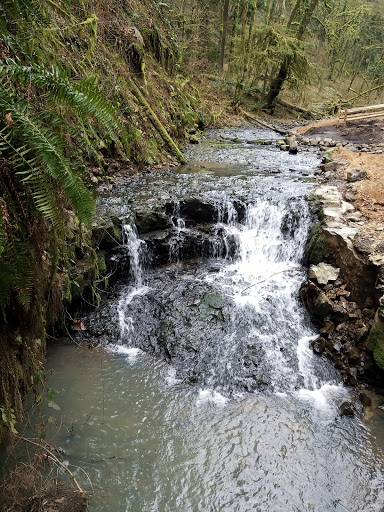 Park «Wallace City Park», reviews and photos, 1600 NW 25th Ave, Portland, OR 97210, USA