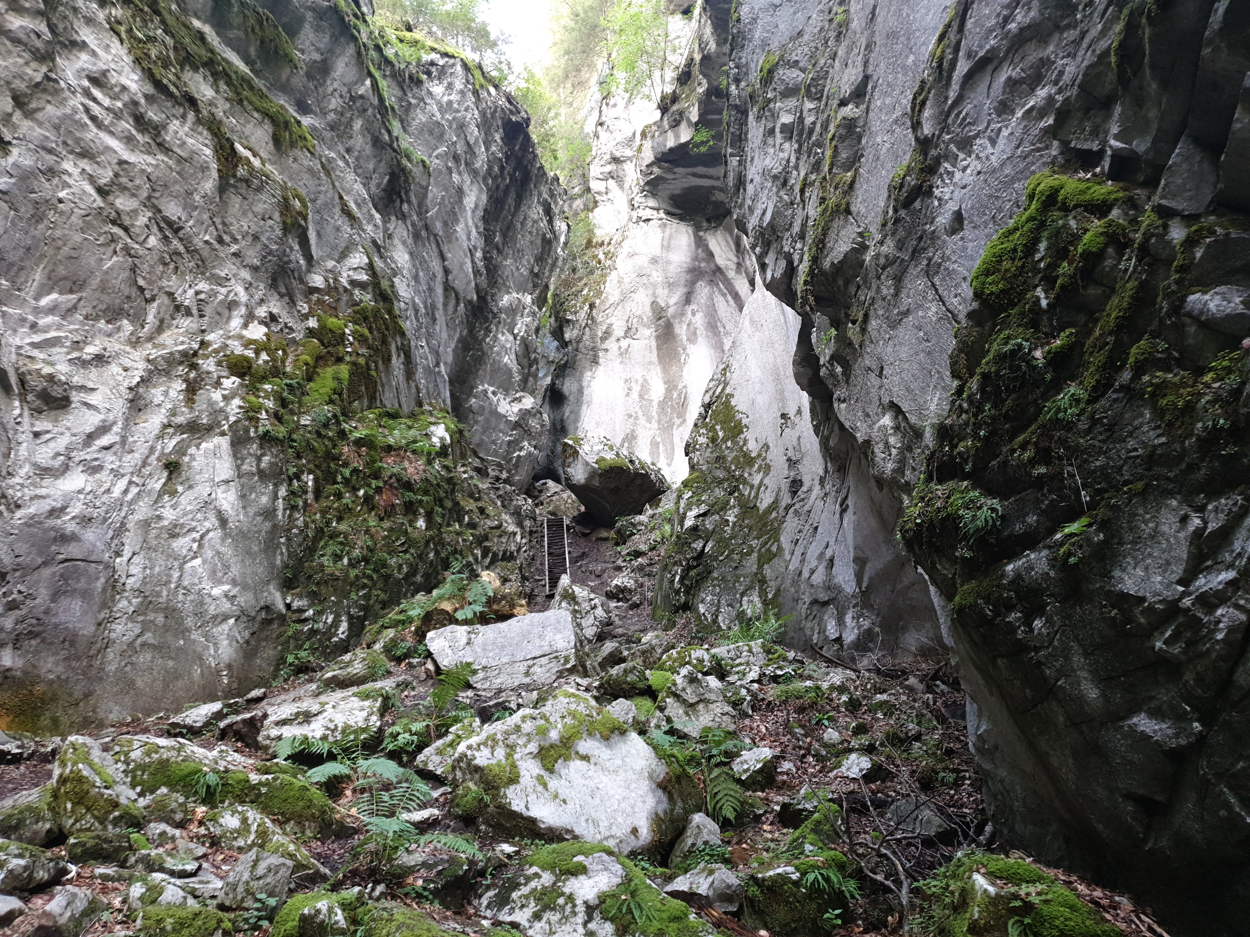 Photo n° 1 de l'avis de Yair.i fait le 20/09/2019 à 04:44
