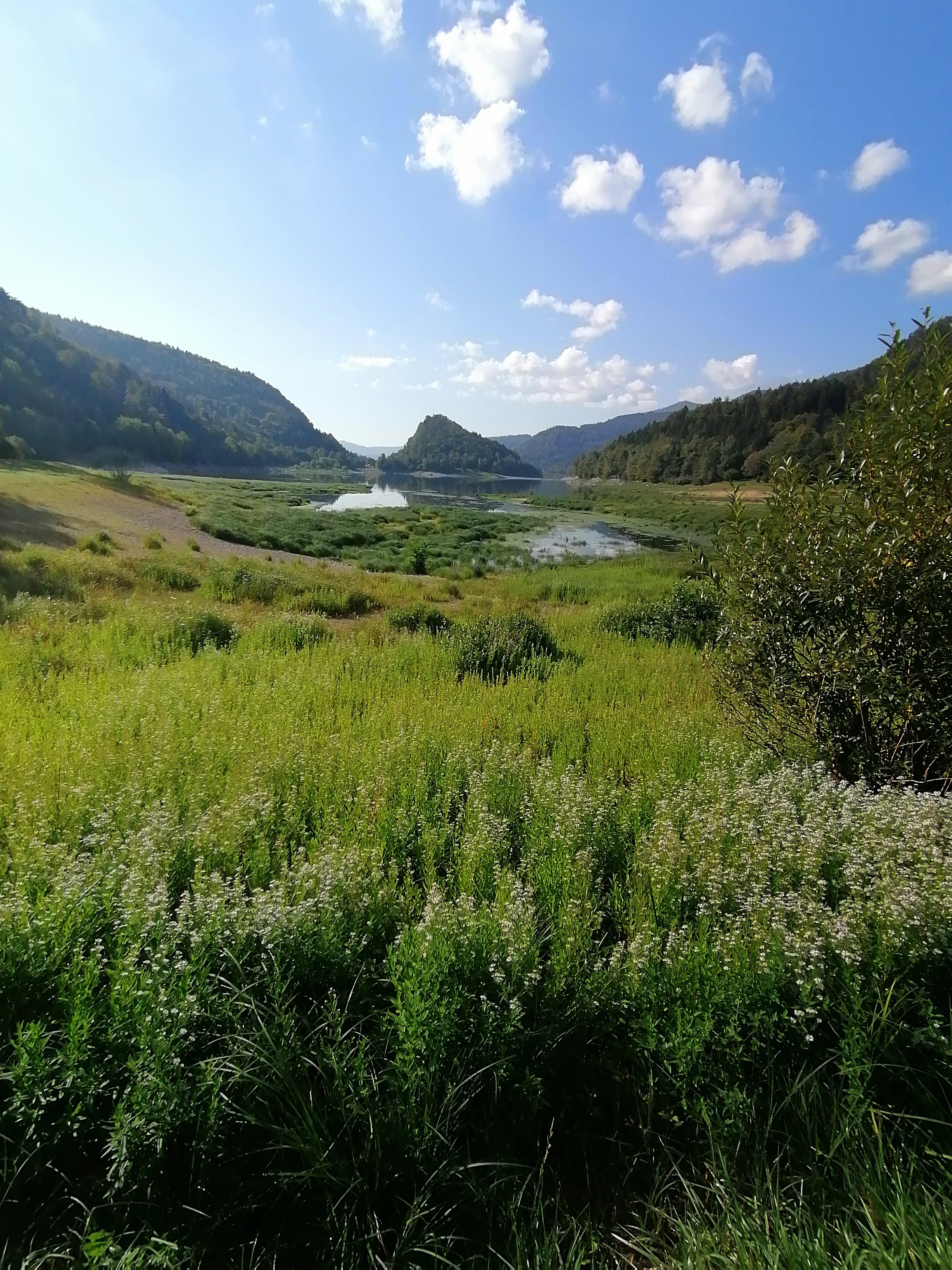 Photo n° 21 de l'avis de Bertrand.e fait le 09/09/2023 à 17:20