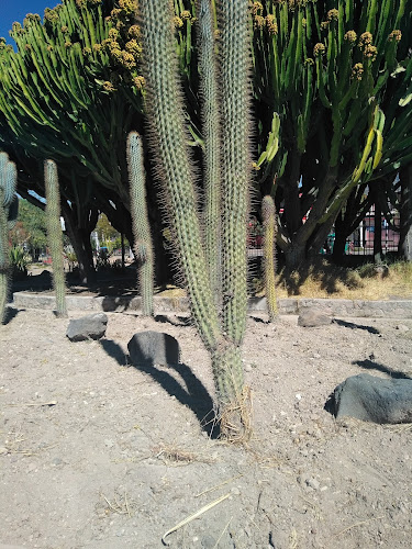 Jardín botánico de Ayacucho