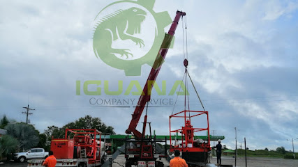 Iguana Company Service